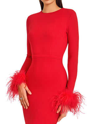 Fiery Red Feather Embellished Gown