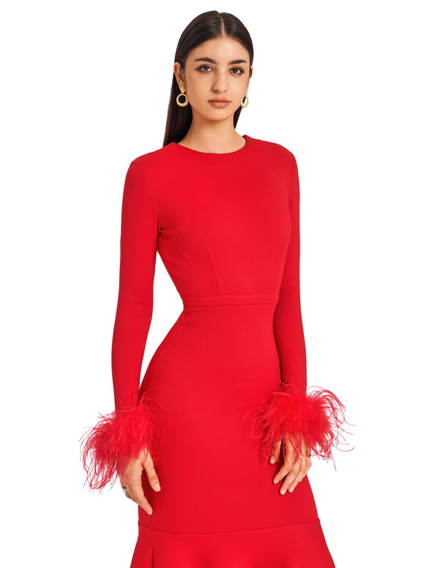 Fiery Red Feather Embellished Gown
