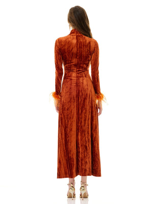 Amber Velvet Feather Accent Dress