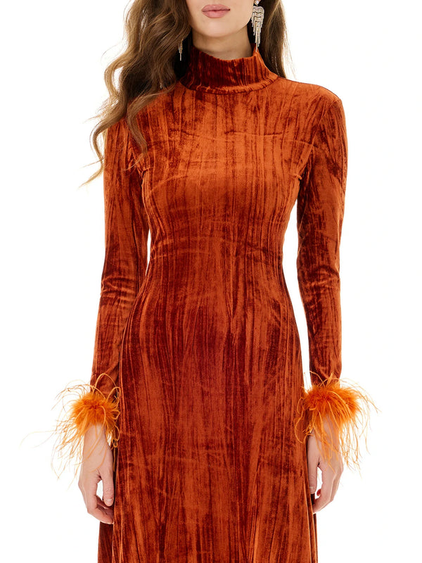 Amber Velvet Feather Accent Dress