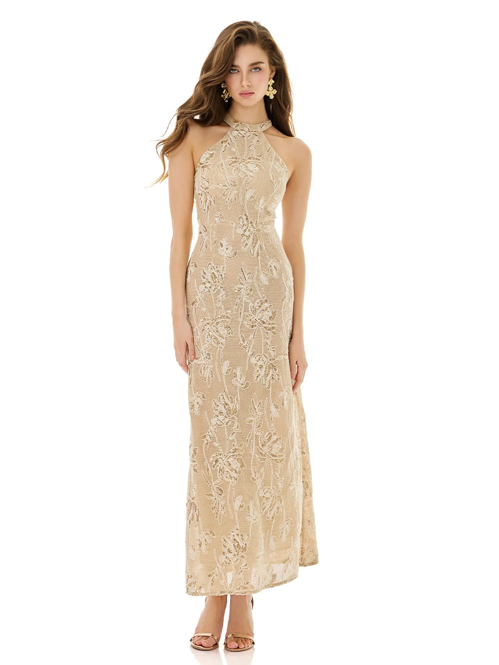 Pale Gold Lace Embellished Dress